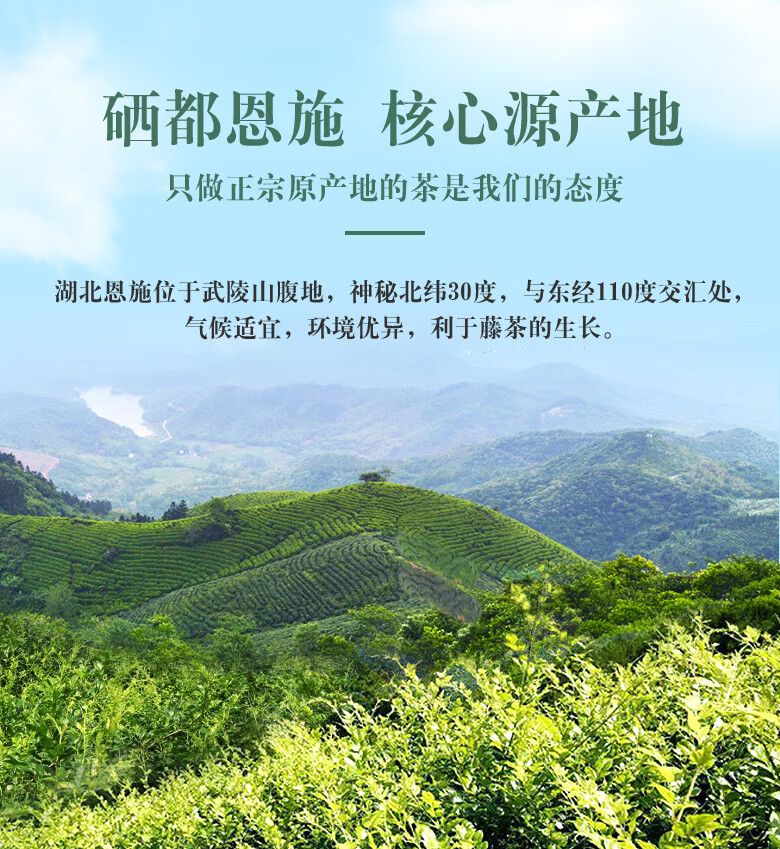 恩施州的富硒茶（恩施富硒茶百科）-硒宝网