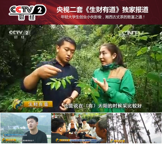 喝富硒青钱柳茶(富硒青钱柳的故事)-硒宝网