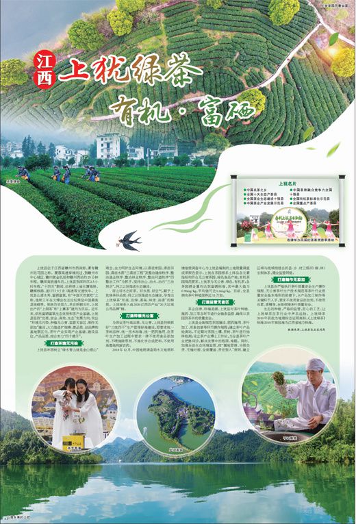 台湾富硒八仙茶(诏安富硒八仙茶)-硒宝网