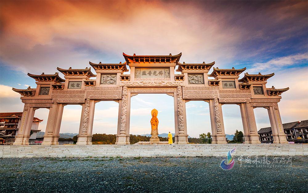 富硒藤茶的泡法(富硒藤茶怎么泡)-硒宝网