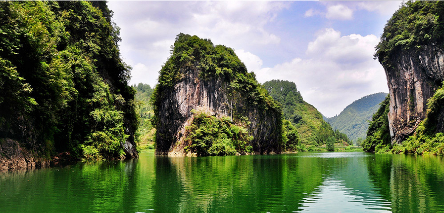 富硒藤茶的泡法(富硒藤茶怎么泡)-硒宝网