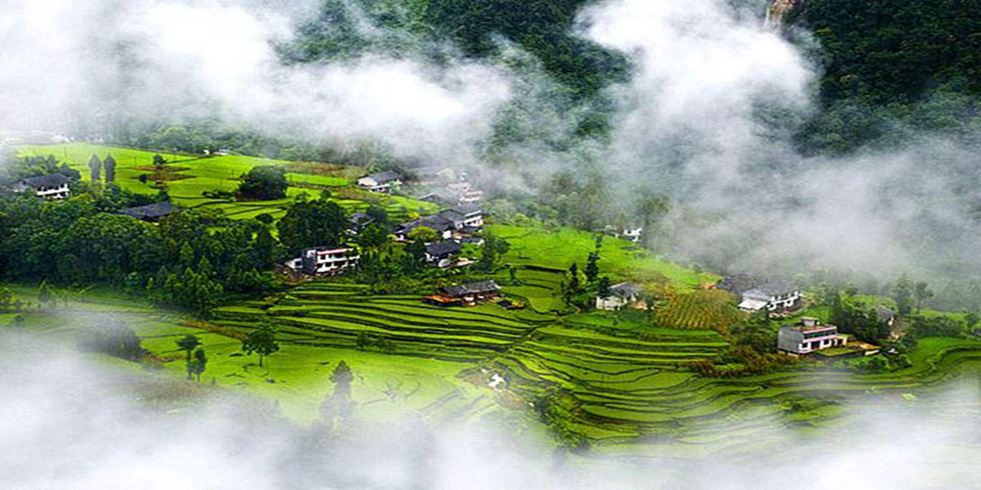 富硒藤茶的泡法(富硒藤茶怎么泡)-硒宝网