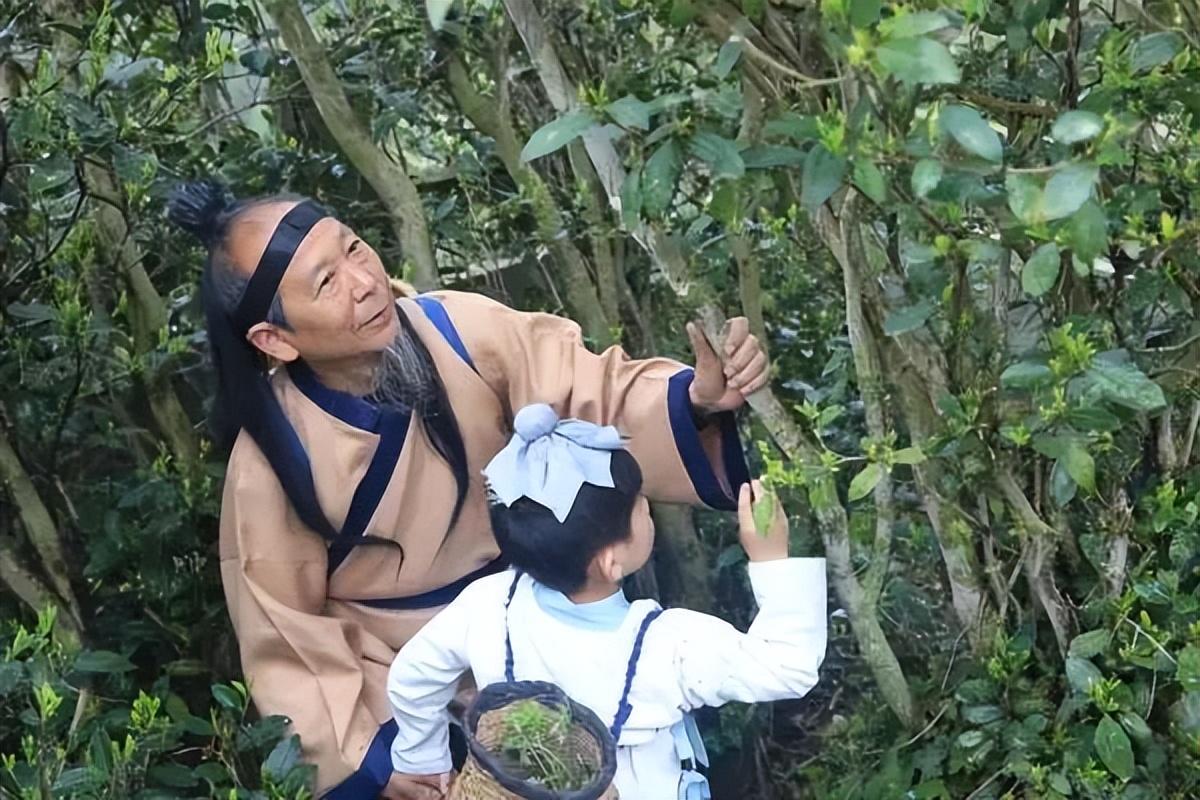 四川富硒茶分布（四川富硒土壤分布图）-硒宝网