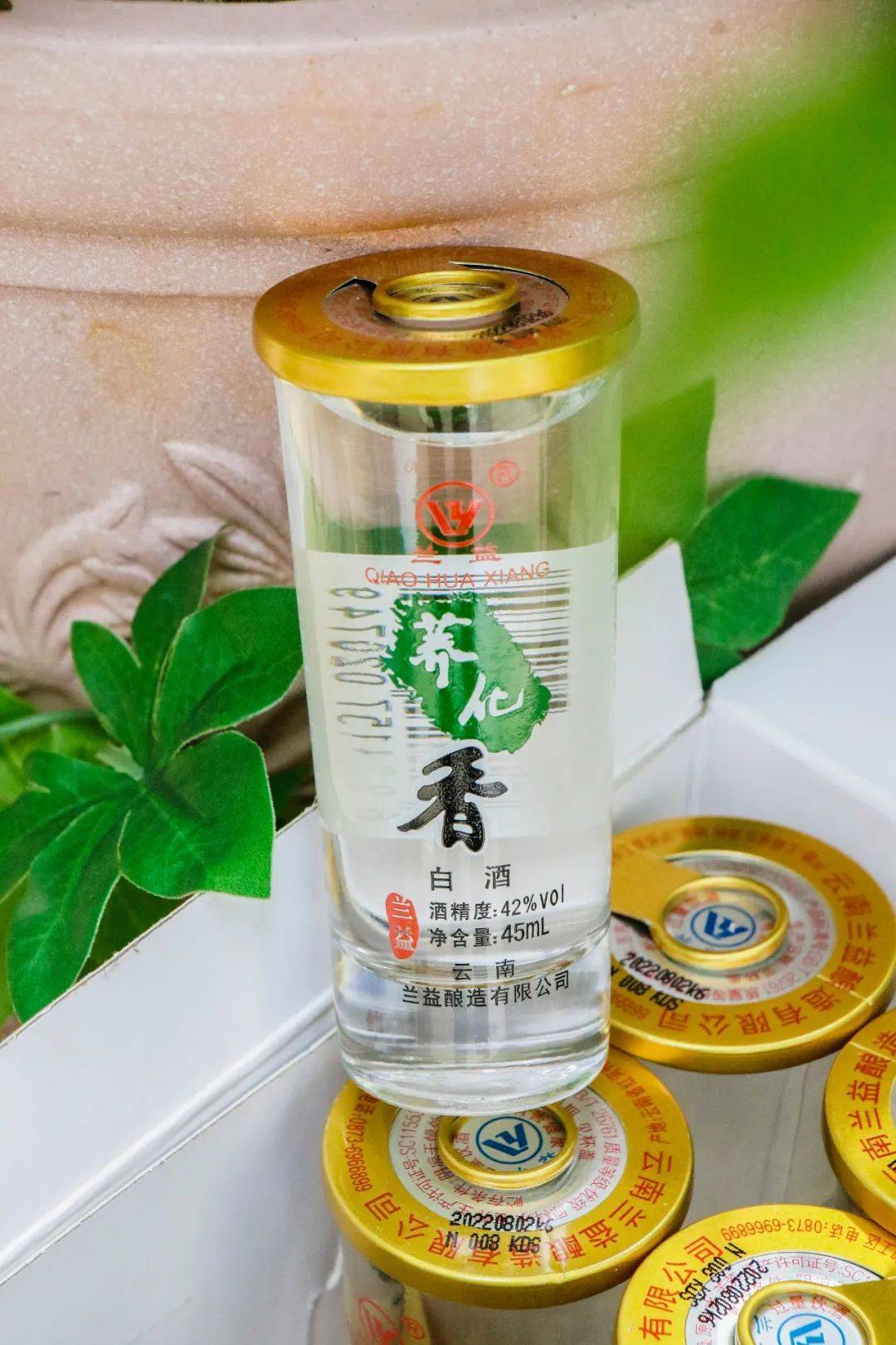 益紓堂富硒荞茶（益康荞膳）-硒宝网