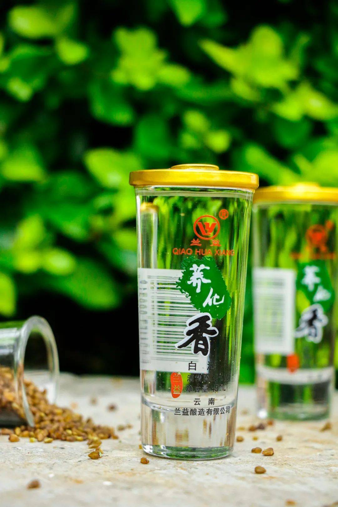 益紓堂富硒荞茶（益康荞膳）-硒宝网