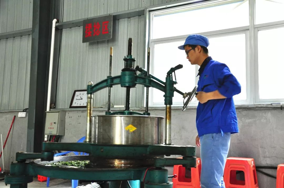 富硒八仙茶品牌（富硒八仙茶是什么种类）-硒宝网