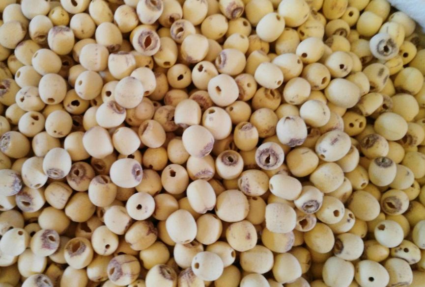 富硒藤茶的汤色（富硒藤茶的冲泡方法）-硒宝网