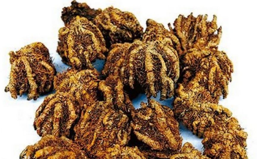 富硒藤茶的汤色（富硒藤茶的冲泡方法）-硒宝网