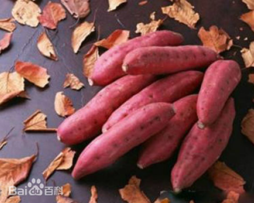 富硒藤茶的汤色（富硒藤茶的冲泡方法）-硒宝网