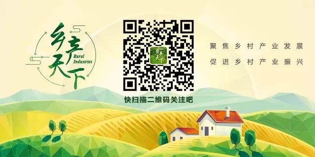 富硒藤茶的汤色（富硒藤茶的冲泡方法）-硒宝网