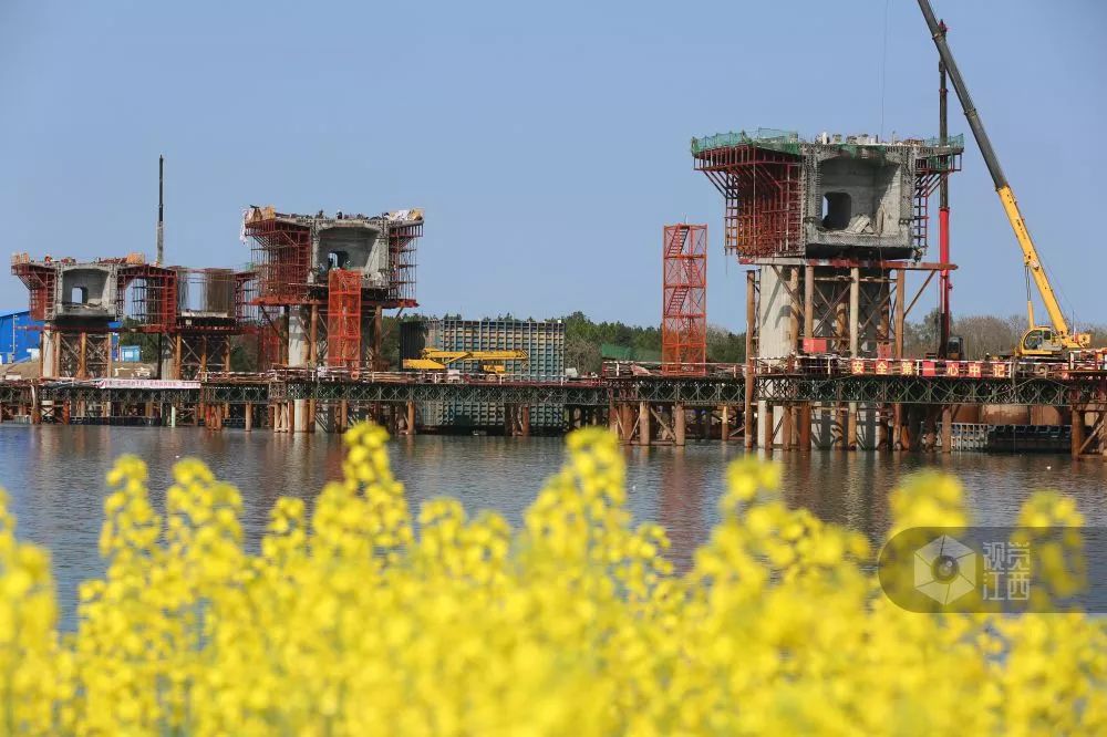 赣州市富硒艾茶(赣州富硒大米)-硒宝网