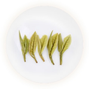 竹叶青和富硒茶（茶叶竹叶青功效）-硒宝网