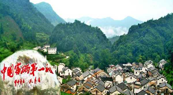 石台县富硒野茶（石台特产富硒茶价格）-硒宝网