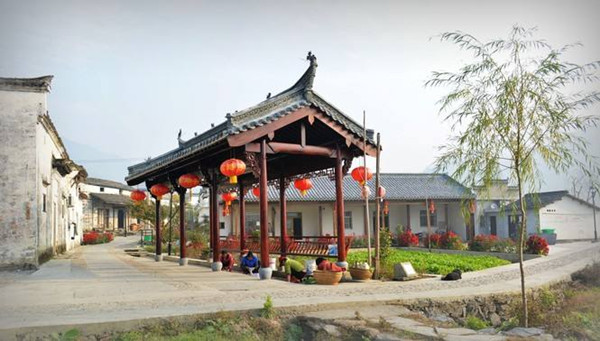 石台县富硒野茶（石台特产富硒茶价格）-硒宝网