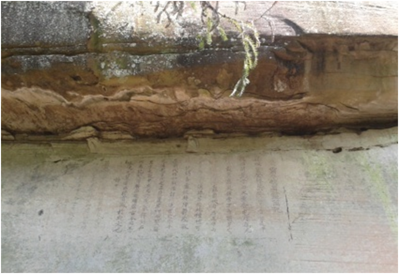 四川达州富硒茶(四川万源富硒茶)-硒宝网