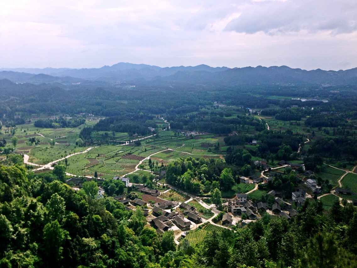 绿宝石茶富硒吗(绿宝石茶是什么茶)-硒宝网