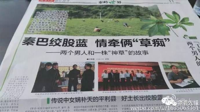 池州五峰富硒茶（池州富硒村民宿）-硒宝网