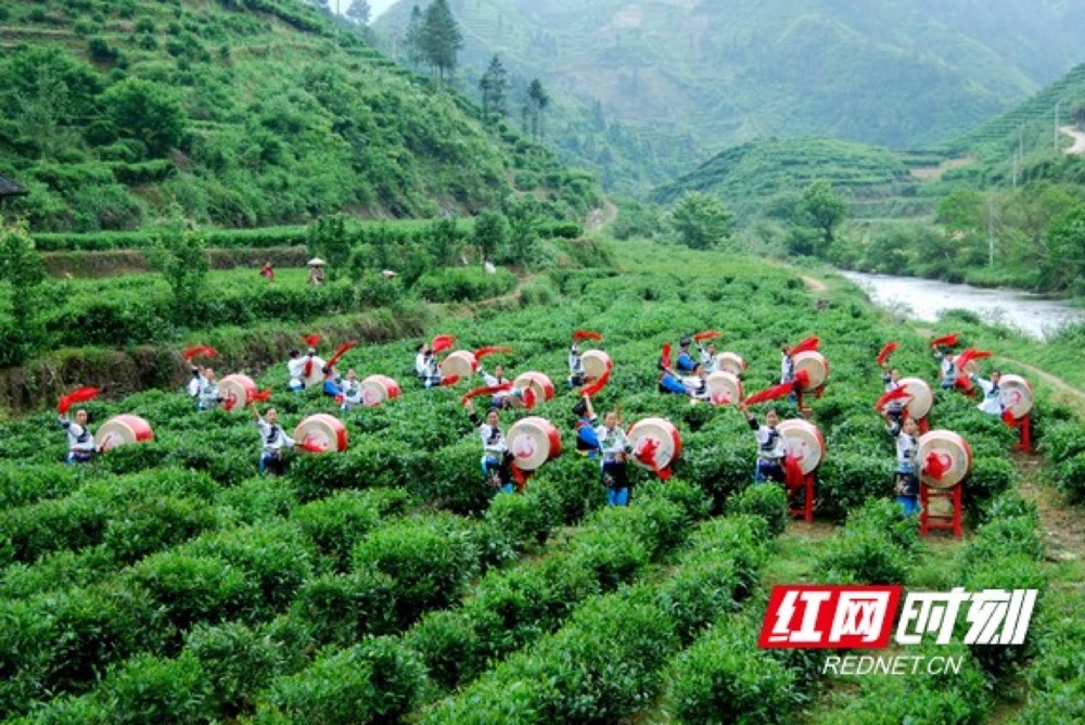 富硒大麦茶微商(富硒大麦茶多少钱一盒)-硒宝网