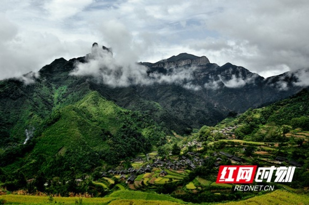 富硒大麦茶微商(富硒大麦茶多少钱一盒)-硒宝网