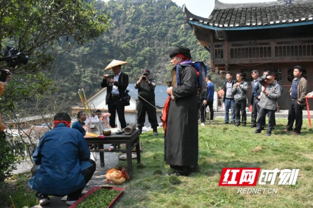 富硒大麦茶微商(富硒大麦茶多少钱一盒)-硒宝网