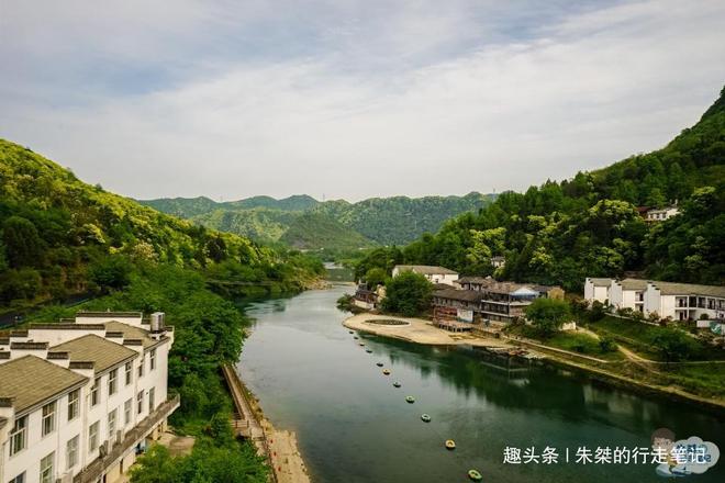 石台县野茶富硒（石台富硒茶的功效与作用）-硒宝网