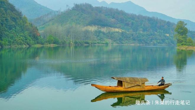 石台县野茶富硒（石台富硒茶的功效与作用）-硒宝网