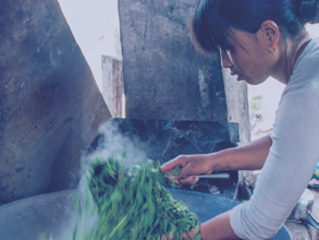 竹叶青和富硒茶(竹叶青茶含茶碱吗)-硒宝网