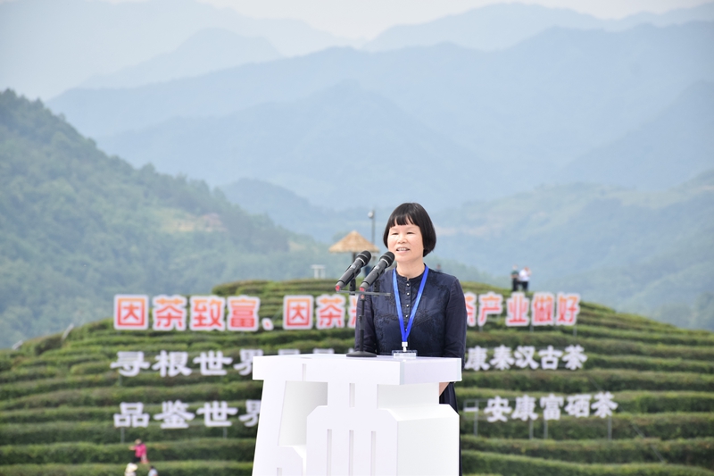 十大富硒茶品牌（富硒茶品种）-硒宝网