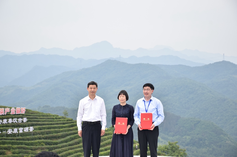 十大富硒茶品牌（富硒茶品种）-硒宝网