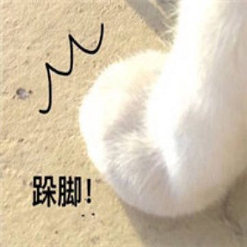 四川广元富硒茶（四川富硒茶分布）-硒宝网