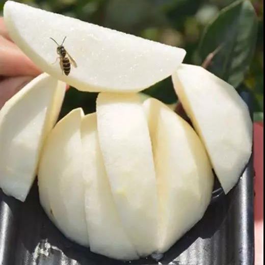 四川广元富硒茶（四川富硒茶分布）-硒宝网