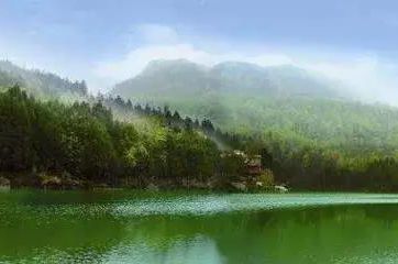 四川广元富硒茶（四川富硒茶分布）-硒宝网