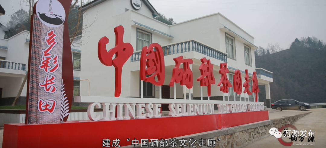 达州万源富硒茶（万源富硒茶的功效与作用）-硒宝网