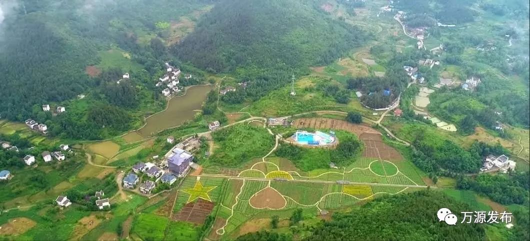 达州万源富硒茶（万源富硒茶的功效与作用）-硒宝网