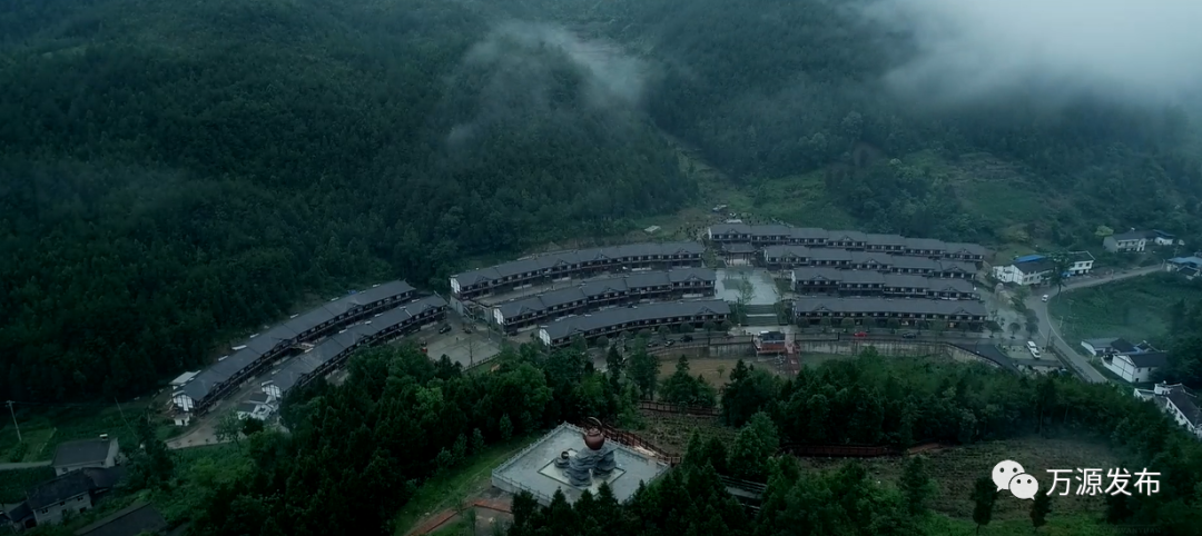 达州万源富硒茶（万源富硒茶的功效与作用）-硒宝网