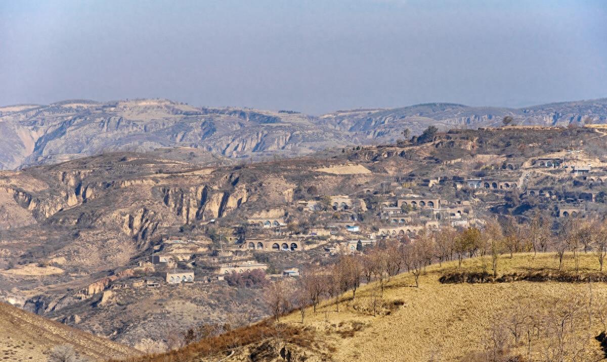 何为富硒八仙茶（茶八仙富硒为什么贵呢）-硒宝网