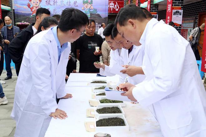 金荣牌富硒贡茶（富硒贡茶是什么茶）-硒宝网