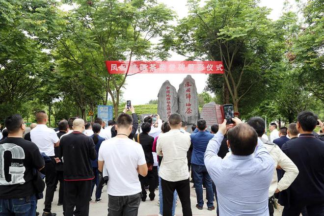 金荣牌富硒贡茶（富硒贡茶是什么茶）-硒宝网