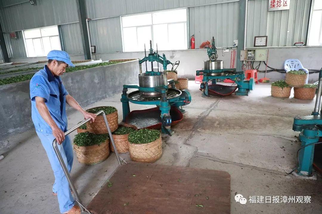 何为富硒八仙茶(茶八仙富硒为什么好喝)-硒宝网