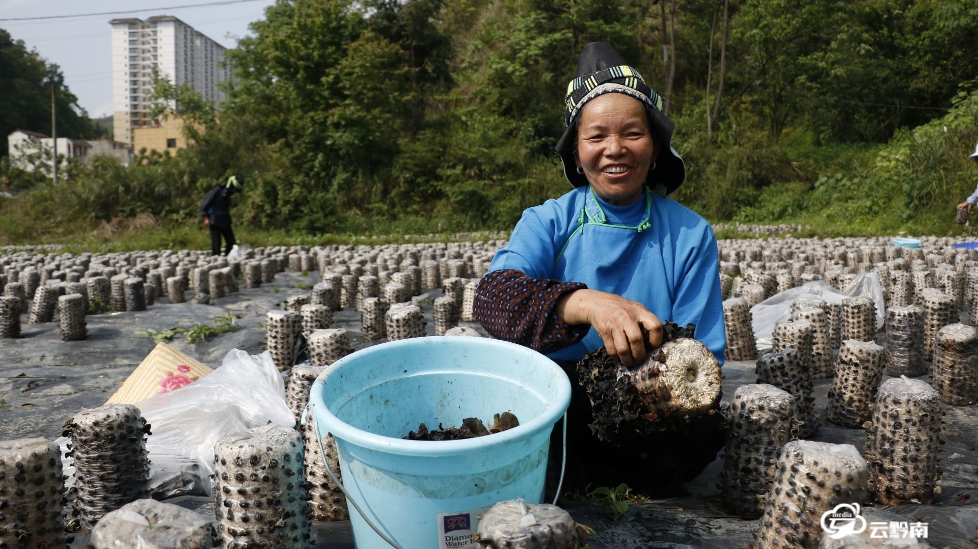 富硒茶小康生活（生态富硒茶）-硒宝网