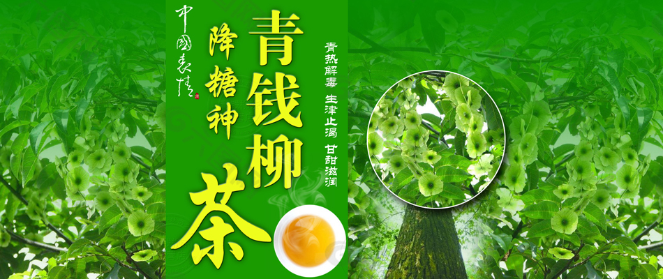 中茶富硒青钱柳(富硒青钱柳国际学术研讨会)-硒宝网