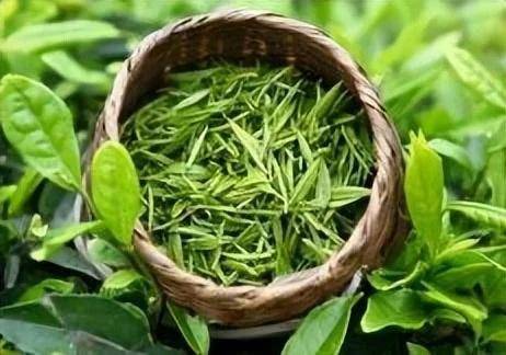 富硒云雾茶对肝（紫阳富硒茶属于哪类茶）-硒宝网