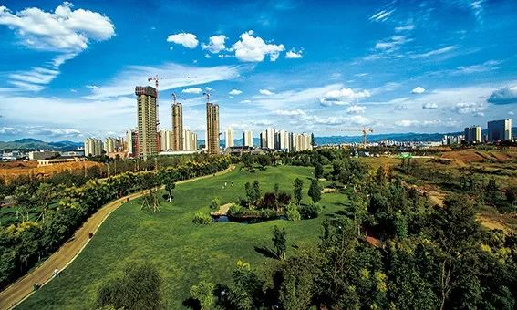 富硒茶的广告语（富硒茶怎么发朋友圈）-硒宝网