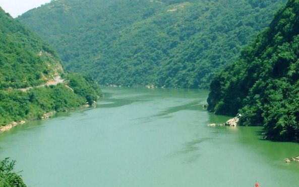 富硒茶的广告语（富硒茶怎么发朋友圈）-硒宝网