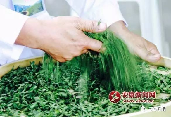 富硒茶的广告语（富硒茶怎么发朋友圈）-硒宝网