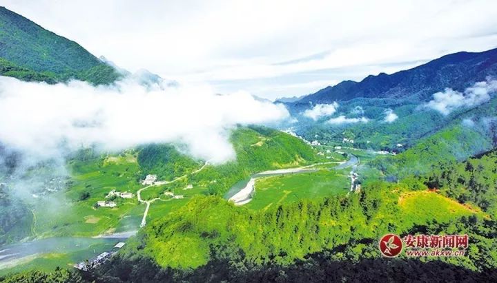 富硒茶的广告语（富硒茶怎么发朋友圈）-硒宝网