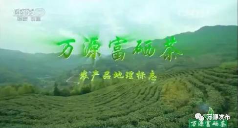 万源富硒茶北纬（北纬茶叶）-硒宝网