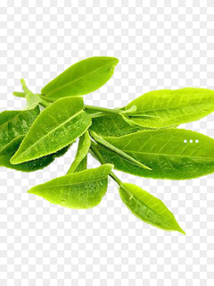 万安富硒黄金茶(金硒黄茶价格)-硒宝网