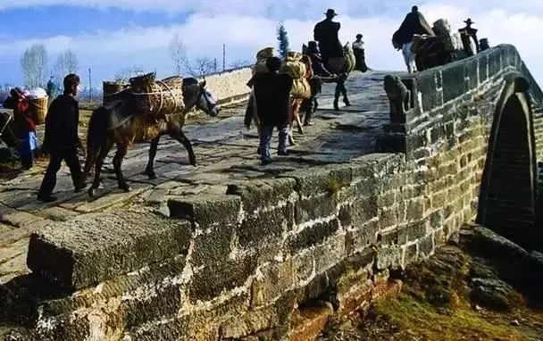 御稀康富硒黑茶（硒黑茶怎么喝）-硒宝网