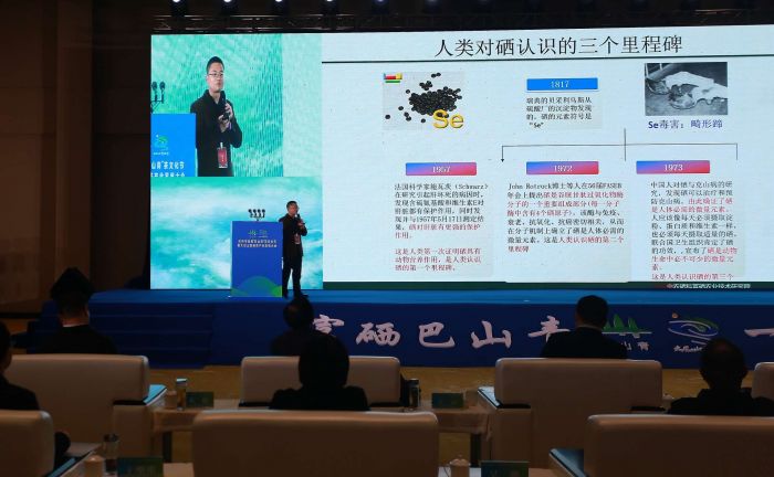 万源富硒茶背景(万源富硒茶特写)-硒宝网